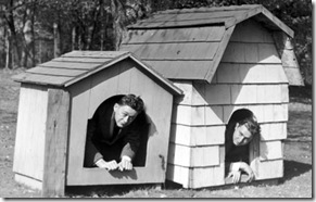 men-in-doghouses-425tp120209